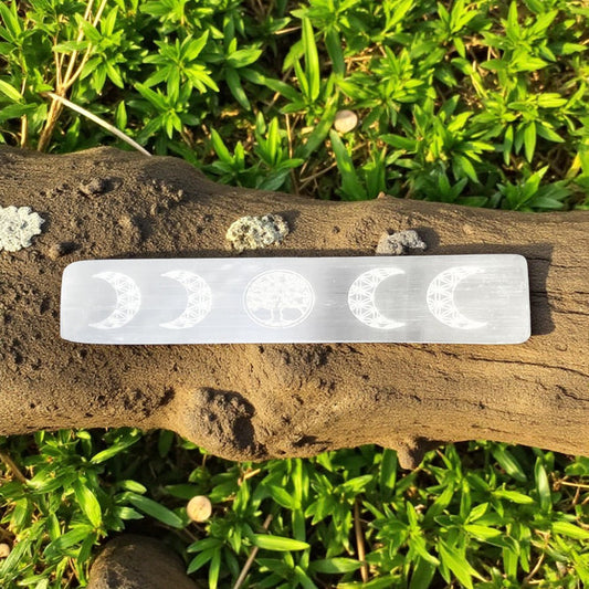 Selenite charging plate with moon phase carvings on a wooden branch with green foliage