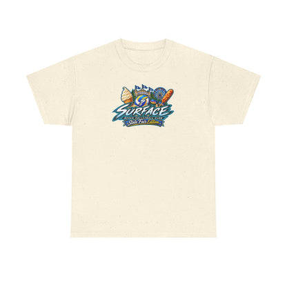 **Special Surface Beach Volleyball Club State Fair Edition