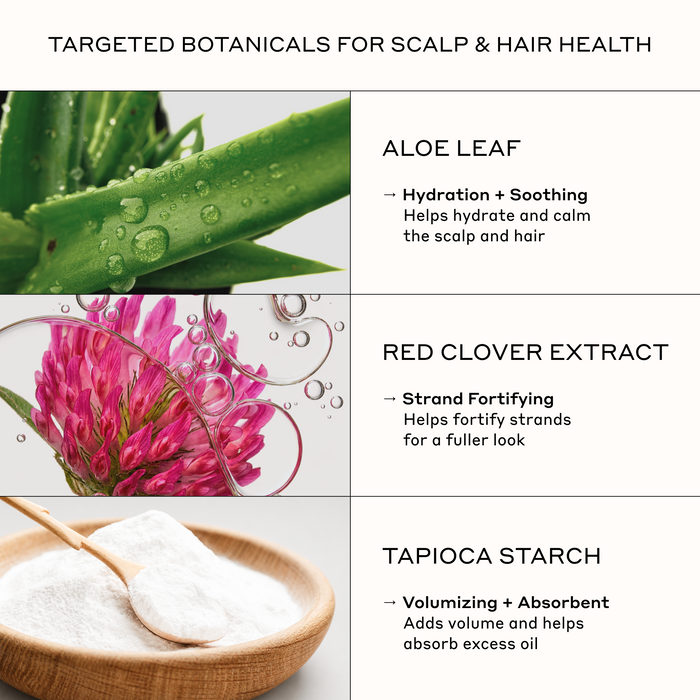 Zenagen Texturizing Powder key ingredients infographic highlighting the scalp and hair health benefits of Aloe Leaf, Red Clover Extract, and Tapioca Starch for hydration, strand fortifying, and oil absorption to add volume.