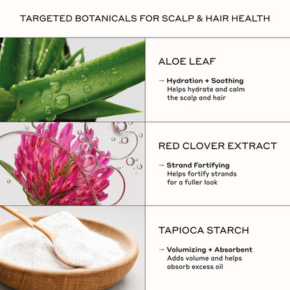 Zenagen Texturizing Powder key ingredients infographic highlighting the scalp and hair health benefits of Aloe Leaf, Red Clover Extract, and Tapioca Starch for hydration, strand fortifying, and oil absorption to add volume.