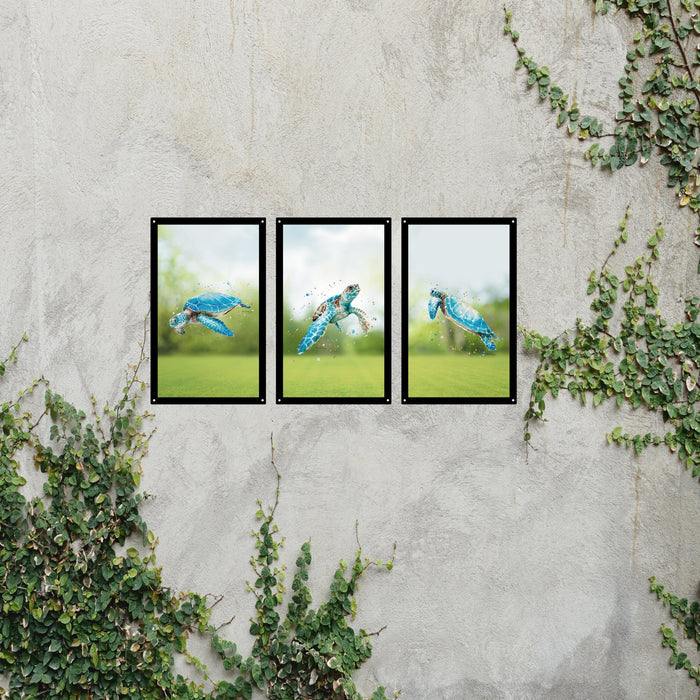 Turtle Tribe Mirror Set-1