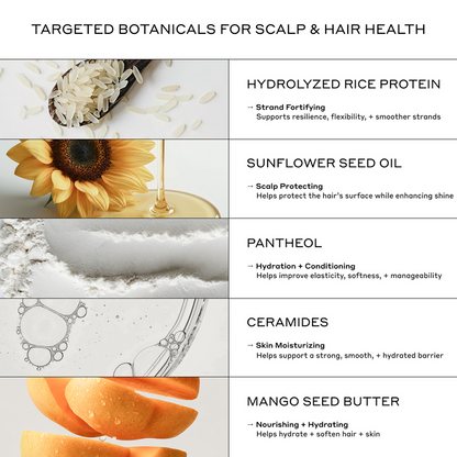 Zenagen Hydration Set key ingredients infographic highlighting the scalp, hair, and skin health benefits of Hydrolyzed Rice Protein, Sunflower Seed Oil, Panthenol, Ceramides, and Mango Seed Butter for strand fortifying, surface protection, hydration, and skin barrier moisture.