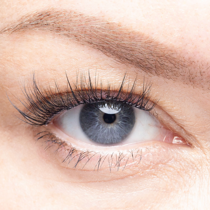 Warsaw - Pre-Glued Lash Clusters