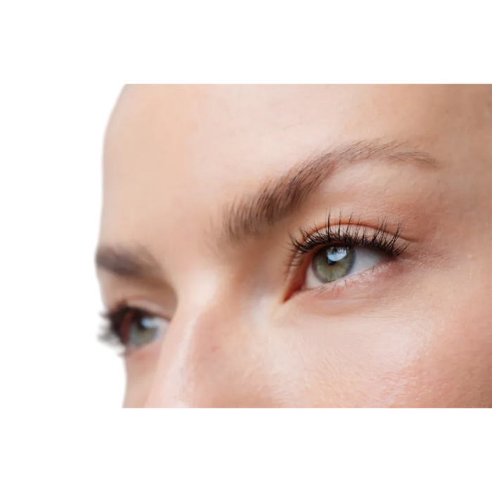 Warsaw - Pre-Glued Lash Clusters