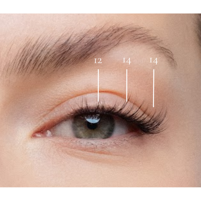 Warsaw - Pre-Glued Lash Clusters