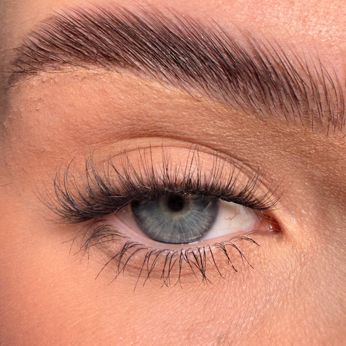 XOXO Super Pre-Glued Party Lashes Full Kit - Unicorn Cosmetics