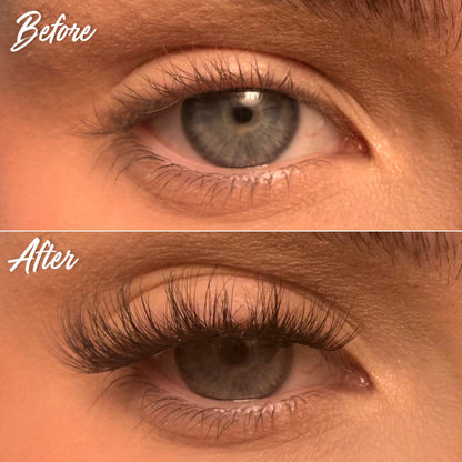 XOXO Super Pre-Glued Lash Starter Kit - Unicorn Cosmetics